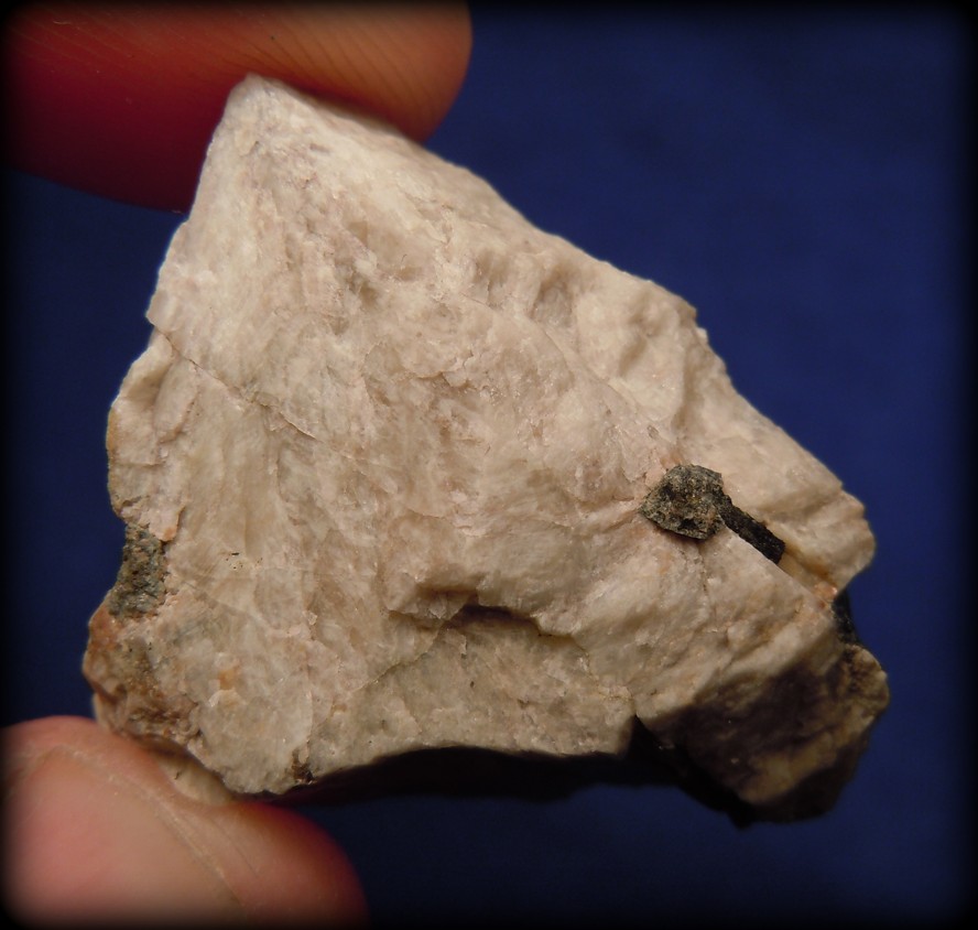XENOTIM, SKORYL (2)
