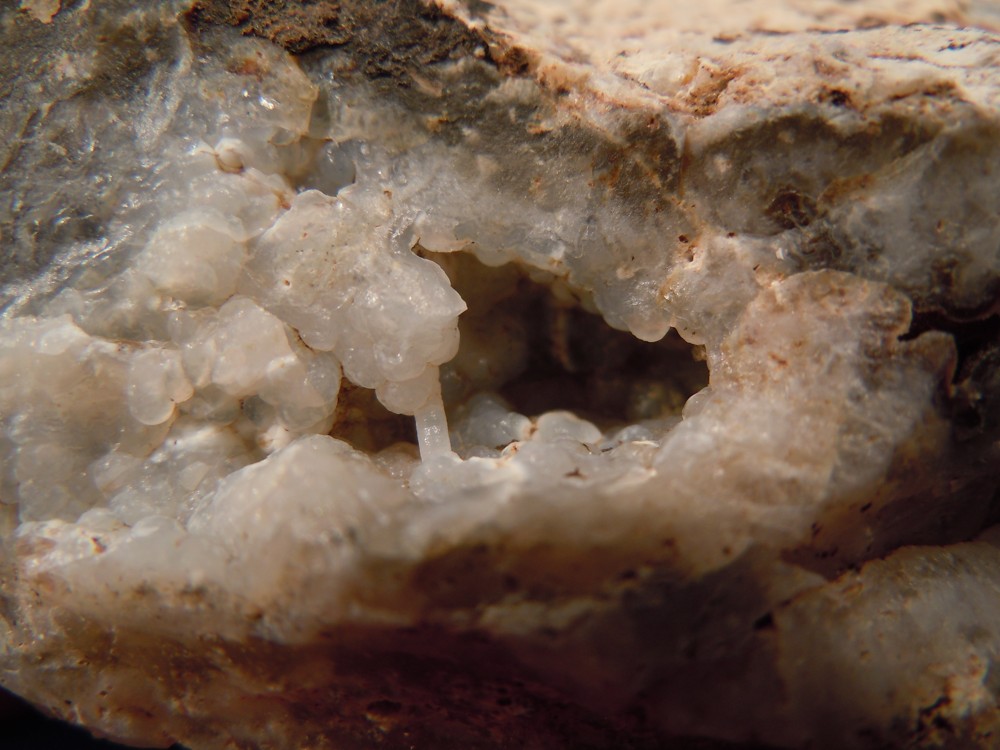 CHALCEDON (1)