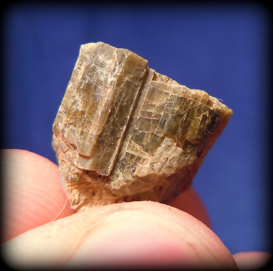 EPIDOT (2)