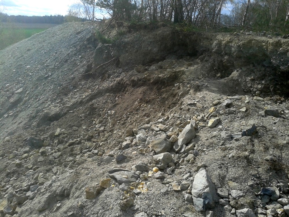 PŘI KOPÁNÍ V HALDĚ SE DÁ NAJÍT HNED NĚKOLIK MINERÁLŮ