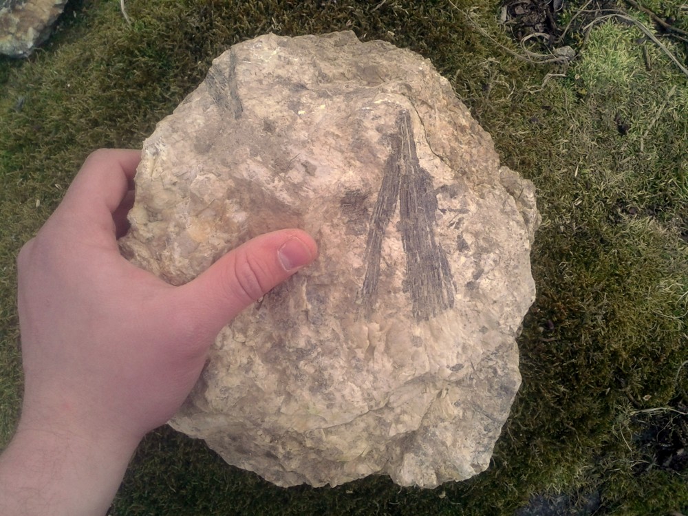 DALŠÍ VĚJÍŘ TURMALÍNU - SKORYLU