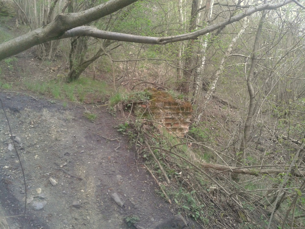 POZŮSTATEK PO LANOVCE, KTERÁ VEDLA ZA ŘEKU OTAVU, KDE SE GRAFIT ZPRACOVÁVAL