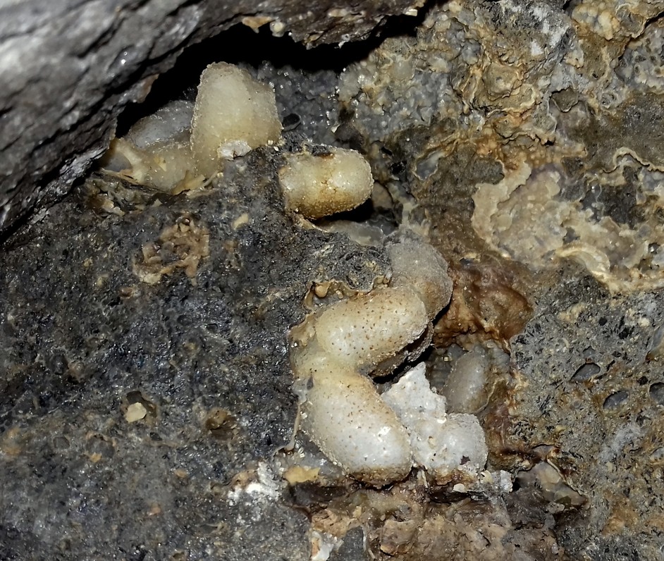 DUTINA VYPLNĚNÁ THOMSONITEM - ZDE JAKO PSEUDOMORFÓZA PO KALCITU