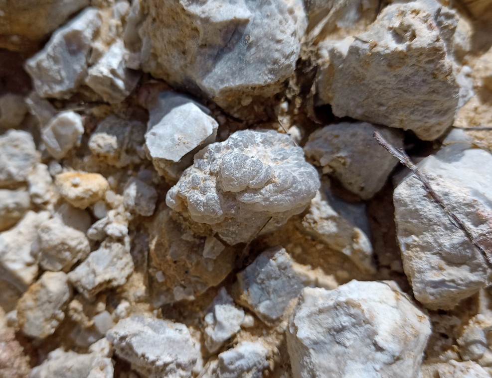OPRŠENÁ GEODA