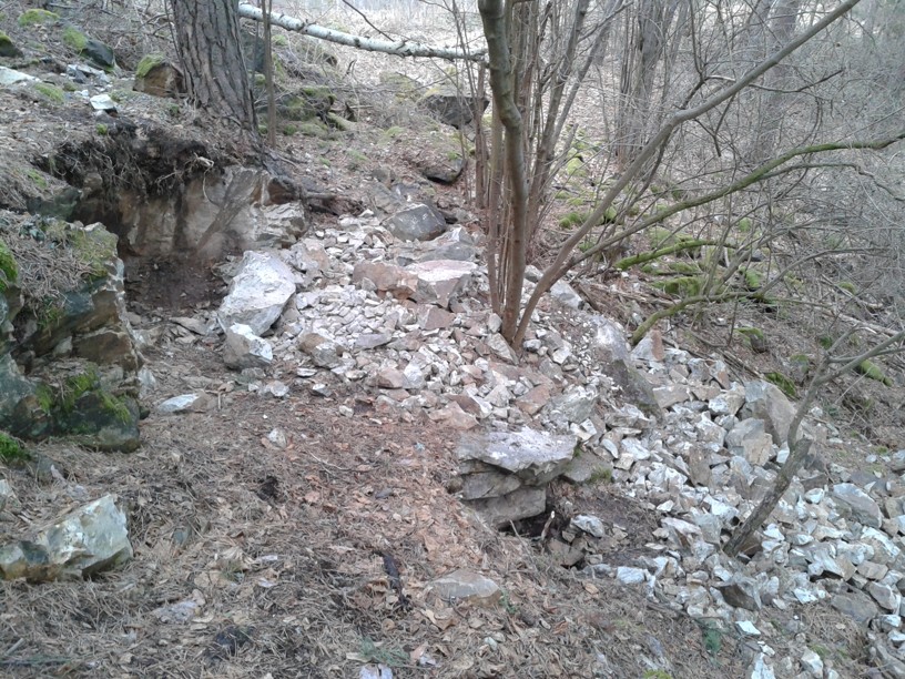 ČINNOST SBĚRATELŮ