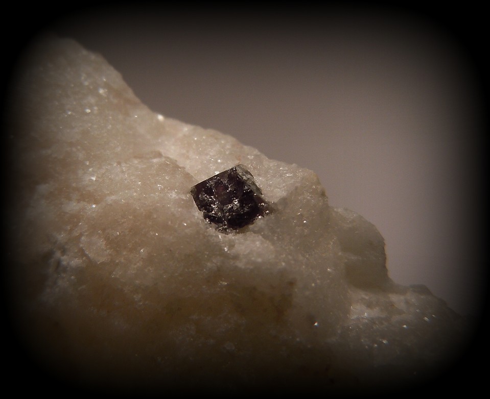 SPINEL
