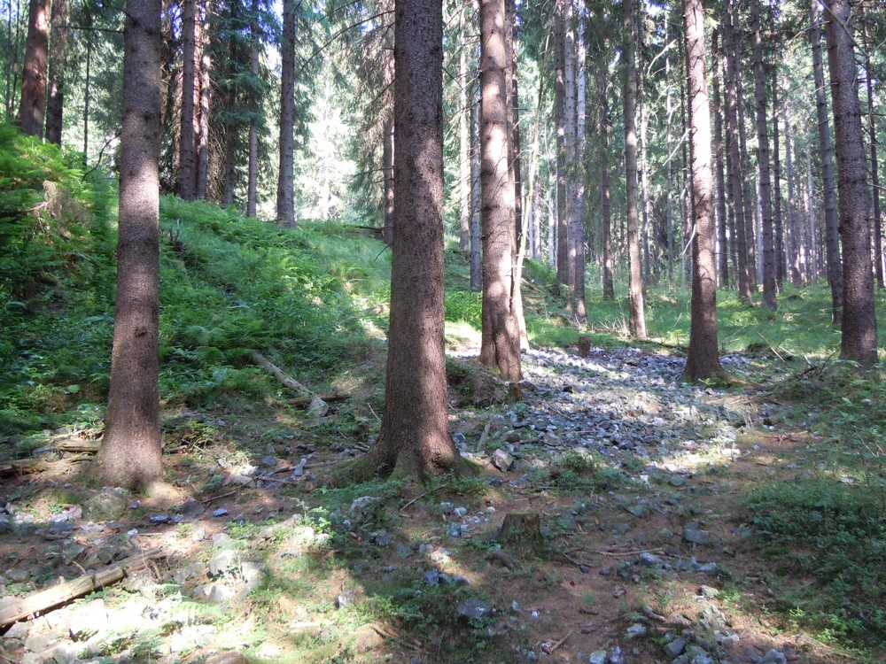 ROZKOPANÉ HALDY DOLU MARIE TEREZIE (1)