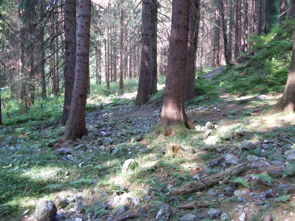 ROZKOPANÉ HALDY DOLU MARIE TEREZIE