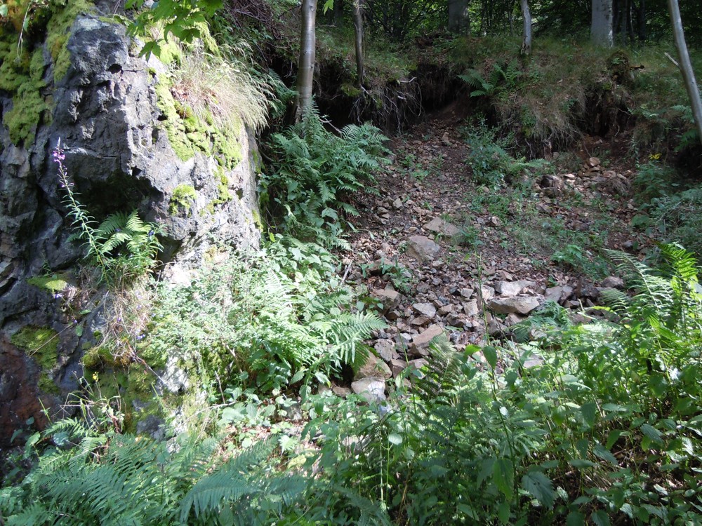 OPUŠTĚNÝ LŮMEK (1)