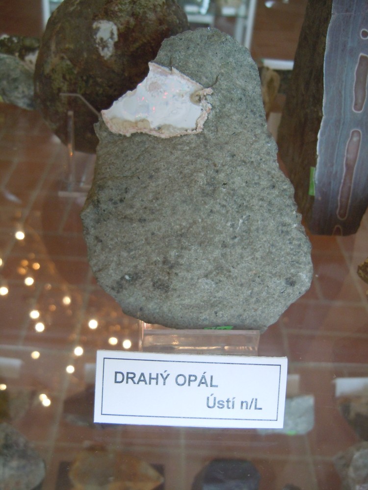 DSCN8745