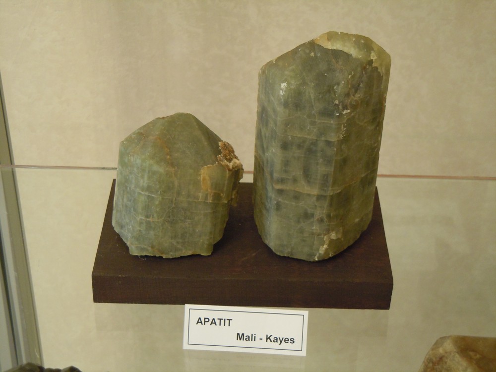 DSCN8759