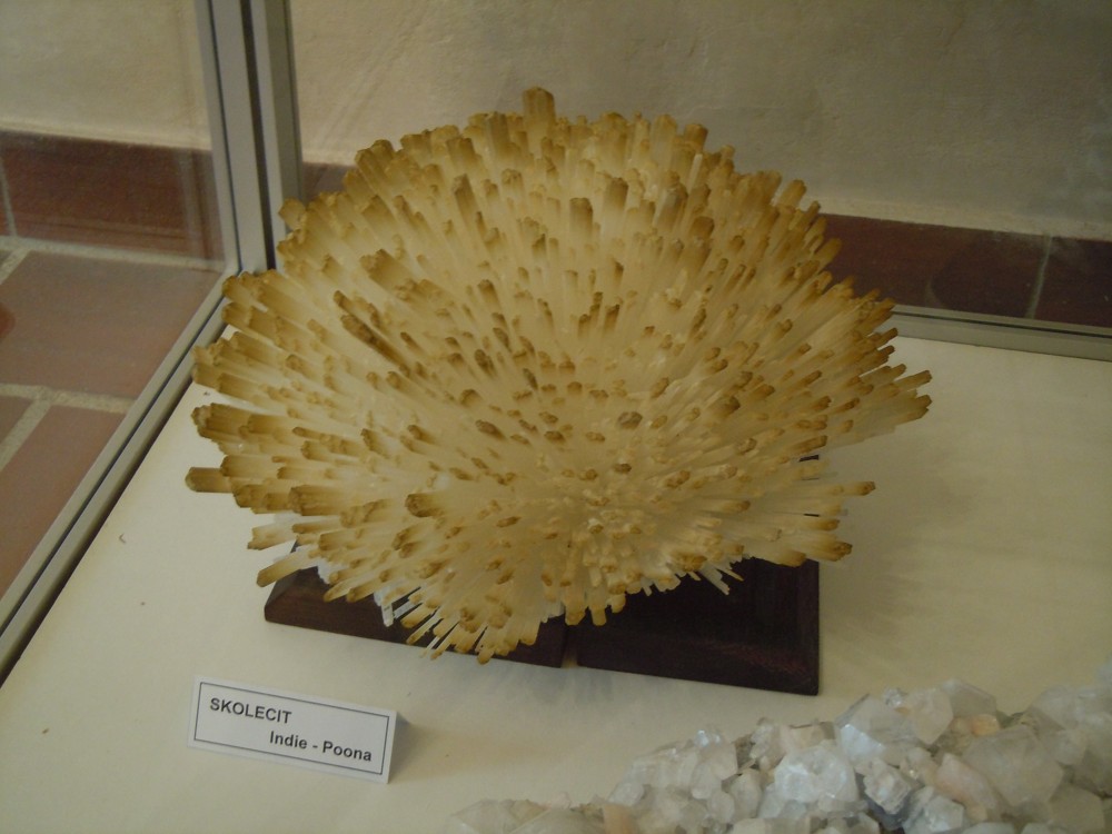 DSCN8761